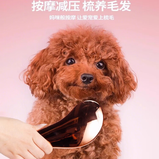 Xixi Tai Tai dog comb Teddy comb special pet massage comb fluffy artifact small dog Bichon dog hair supplies rose gold comfortable massage + hair beauty SPA