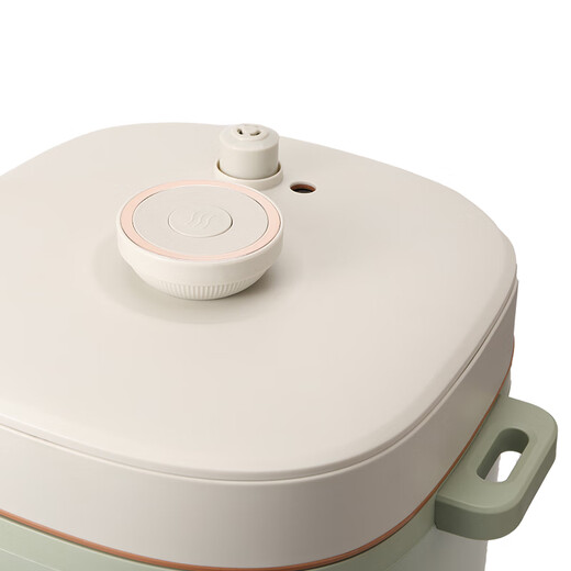 Thermos Mini Capacity Rice Cooker Home Rental Dormitory 1-3 Persons Small Multi-Function Rice Cooker Non-stick Layer Handle Design Smart Rice Cooker Quick Cooking Milk Green 6L Thermos Microcomputer Electric Pressure Rice Cooker Milk Green 1000W