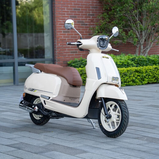 Flying Eagle F150 pedal retro fuel motorcycle, fuel-saving commuting, smart and cost-effective, ivory white standard version 26 models