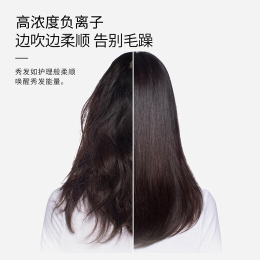 Royalstar Hair Dryer Negative Ion Household Light Maintenance Hair Dryer High Power Quick-drying Hair Dryer Ladies Portable Hair Dryer Gifts for Girls Holiday Gifts RC-210Z Green Exclusive Hair Care Professional Hair Dryer Negative Ions + Moroccan Essential Oil