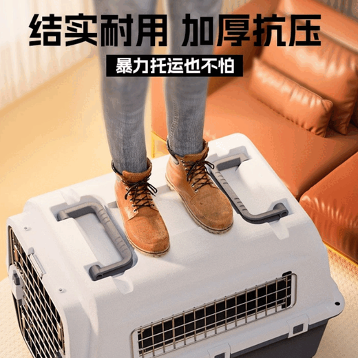 吉品帝宠物国际标准航空箱狗狗中大型笼子外出托运便携猫咪车载旅行空运 1号塑料窗【国航深航不可上】