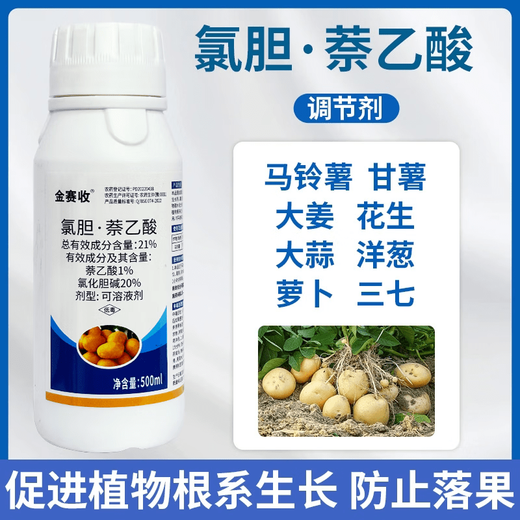 21% Choline Chloride Naphthalene Acetic Acid Expanding Potato Medicinal Ginger Underground Rhizome Tube Yield-increasing Expanding Agent 1000g Dispensed 2 bottles of 500g