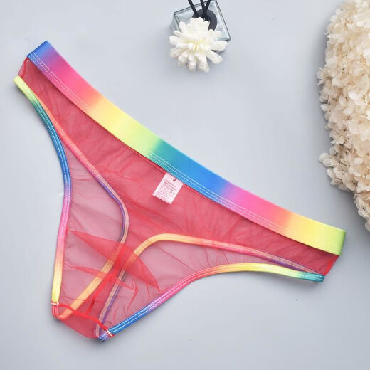 Bear plus size 0 sexy gay color see-through thong gay transparent thong rainbow white rainbow belt transparent tulle feeling thong S