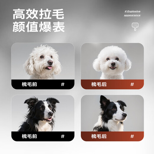 TYZAYR Japanese cat comb, pet combing, special large-scale hair removal comb, dog needle comb, cat hair removal brush, dog ivory white (combing beads do not hurt the skin)