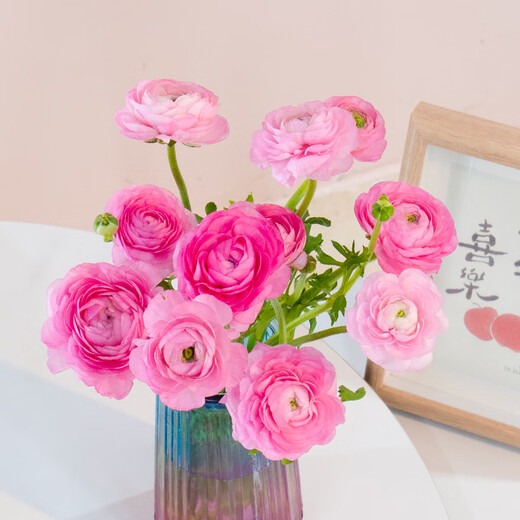 Jingdong Flowers Yunnan Kunming Flower Base Straight Hair Random Color Peony 10 Branches Straight Hair from the Source
