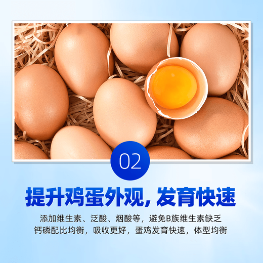 OIMG 5% layer premix for small chickens, medium chickens, large chickens, laying hens during the laying period, multi-egg feed additives, chicken feed 5% series, L516, laying hens, brooding period 25KG