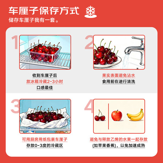 Fun to try Chilean cherries 2J grade fruit diameter about 28-30mm 5Jin Jin equals 0.5kg gift box fruit gift box