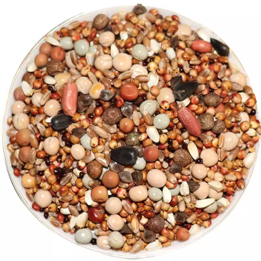 Other horticultural high-quality nutritious pigeon food, meat pigeons, ornamental pigeons, homing pigeons, racing pigeons, Yuanbao pigeons, young pigeon feed, breeding pigeons, pigeon food with corn, 5 Jin Jin is equal to 0.5 kg