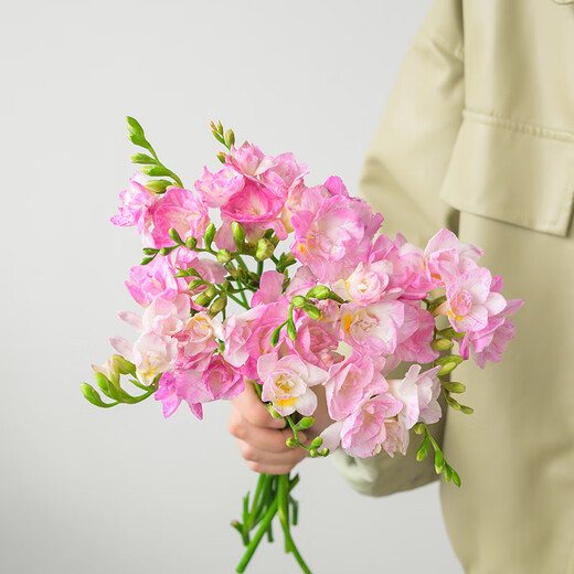 Jo Malone Flavor Freesia 10 random colors