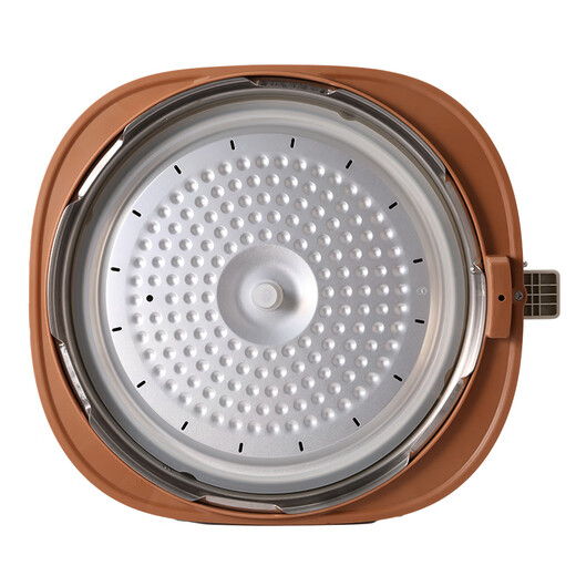 Thermos Mini Capacity Rice Cooker Home Rental Dormitory 1-3 Persons Small Multi-Function Rice Cooker Non-stick Layer Handle Design Smart Rice Cooker Quick Cooking Milk Green 6L Thermos Microcomputer Electric Pressure Rice Cooker Milk Green 1000W