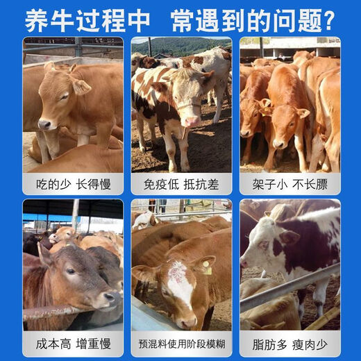 Sino-US Puke 4% cattle special premix calf fattening beef cattle feed pregnancy pregnant lactating cow breeding cow premix 4% calf premix 40Jin Jin is equal to 0.5 kg