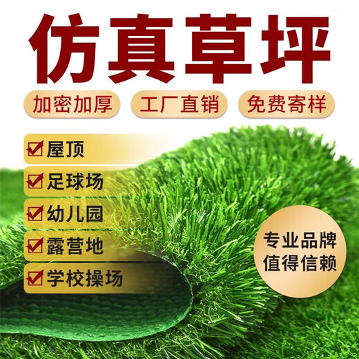 Fake turf simulated lawn green carpet outdoor artificial plastic artificial bionic outdoor insulation fence football field 2cm encrypted high-quality spring grass 2.5m wide 4m long