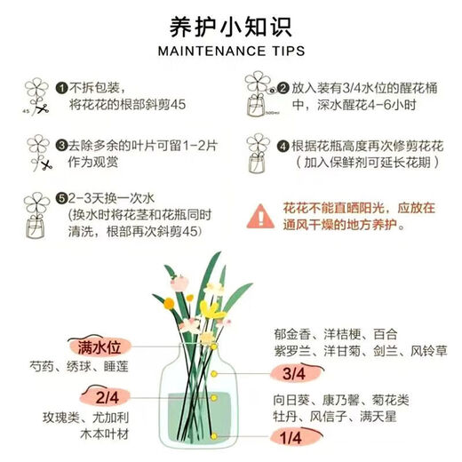 Francaise Gerbera sunflower fairy pink flower head fresh cut flowers home water maintenance home vase decoration flowers Gerbera - pink series 10 branches