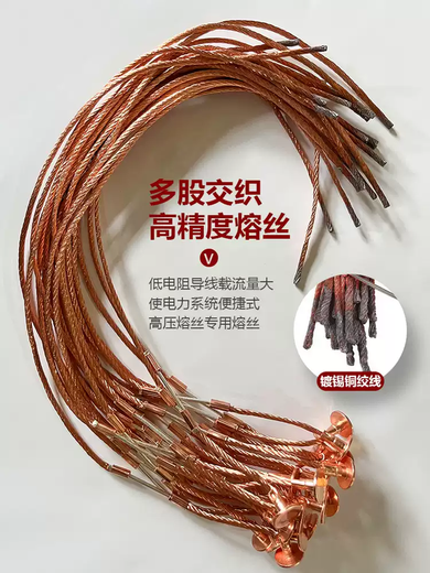 10kv high voltage buckle fuse 3A-200A fuse fuse transformer Lingke fuse 25A3 strips