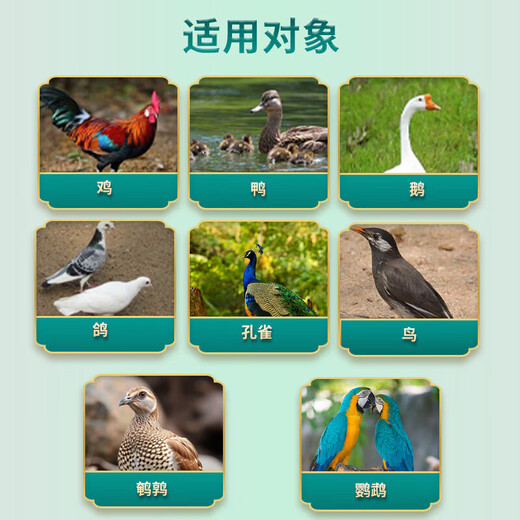 Egg Duoduo chickens, ducks, geese, general egg-laying treasure, egg-stimulating device to improve egg quality, special feed additive for those who cannot lay eggs in cold weather, 2 bags, specially designed to cure those who cannot lay eggs in cold weather.