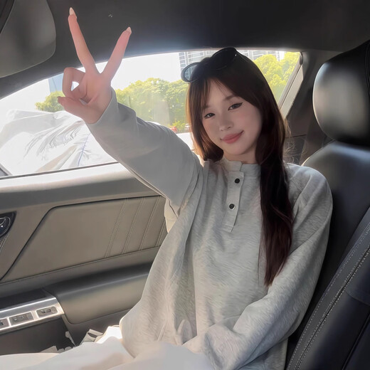 Light gray American Henry collar sweatshirt for men, spring and autumn high-end polo shirt, long-sleeved T-shirt with base layer, light gray M