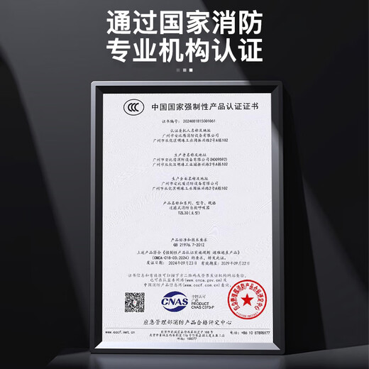 DEXUN THE FUTURE gas mask fire mask fire and smoke mask fire escape filter self-rescue respirator TZL30A blue fire mask TZL30 reflective head-mounted model