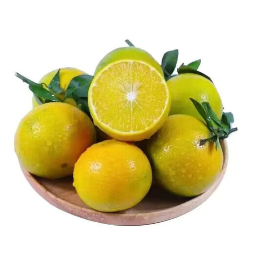 京觅正宗德庆皇帝柑新鲜水果贡柑 净8.8斤广东 单果55mm+源头直发包邮