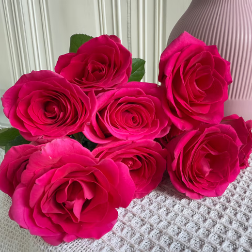 Jingdong Flowers Boutique Water-cultured Soilless Culture New Year's Eve Flowers Valentine's Day Rose Floyd 10 Pack 50CM Straight from the Source