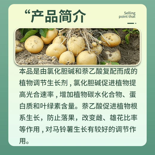 21% Choline Chloride Naphthalene Acetic Acid Expanding Potato Medicinal Ginger Underground Rhizome Tube Yield-increasing Expanding Agent 1000g Dispensed 2 bottles of 500g