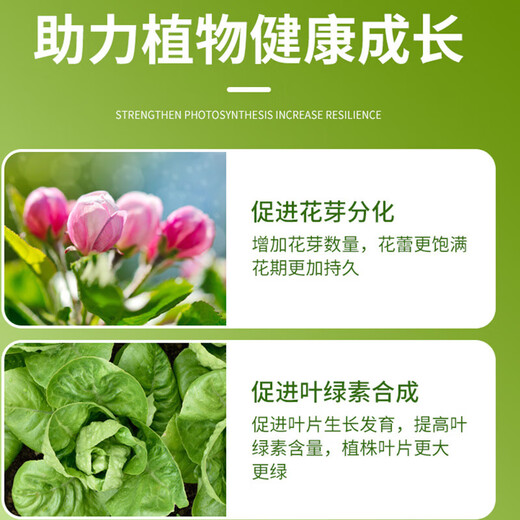 Urea nitrogen fertilizer for growing flowers, vegetables, fruit trees, green plants, household potted fields, general-purpose compound fertilizer, large package of chemical fertilizer, total nitrogen 46% 40Jin Jin is equal to 0.5 kg