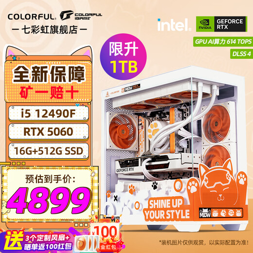 Colorful (Colorful) i5 14600KF RTX5070 5060TI graphics card Orange Shadow Orange Orange Cat customized model Game live broadcast design computer host desktop assembly machine with two 12490F丨16G丨1TB丨5060 graphics card original box