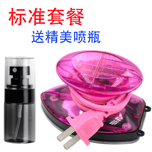 Chudig mini electric iron, special small iron for spelling beans, available in dormitory with limited power, heat transfer DIY handmade travel, transparent red + spray bottle (200 watts)