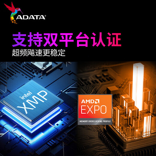 ADATA 24G/48G (24G*2) set DDR5 6000 frequency AI computer accessories desktop memory bar Longyao D500G RGB light bar C28 timing Hynix new Mdie C28/new Mdie D300G 6000 black light bar 24GB 1 bar (24G*1)