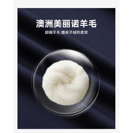 Goldlion Machine Washable Wool Autumn and Winter Jacket Men's Stand Collar Easy Care Executive Business Casual Jacket Navy-95 L 175/92A Recommended 135-150Jin Jin equals 0.5 kg