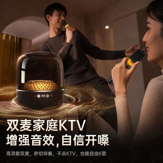 Jinyun Liuli 6th generation K-song microphone all-in-one Bluetooth speaker wireless singing home KTV audio karaoke set microphone Voice of Berlin audio gift LP90