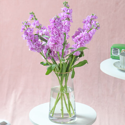 Monet's Garden Violet Random Color 50cm 5 Branches