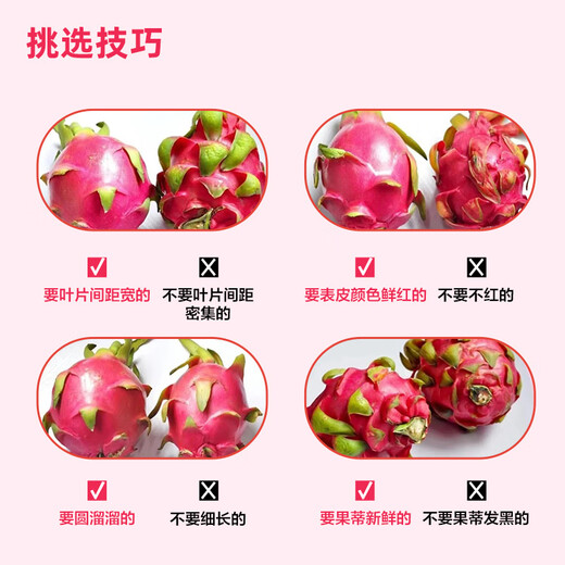 Jingxiansheng Guangxi Red Heart Pitaya Gift Box Style, net weight 9Jin Jin is equal to 0.5kg, single fruit starting from 400g, fresh fruit delivered directly from the source