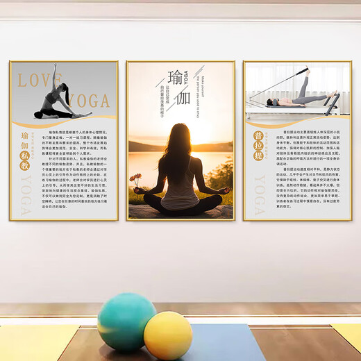 Liu Buding yoga studio wall decoration layout painting Pilates studio postpartum body shaping promotional poster gym 15-Pilates 40 width x 60 height cm PP adhesive sticker painting without board