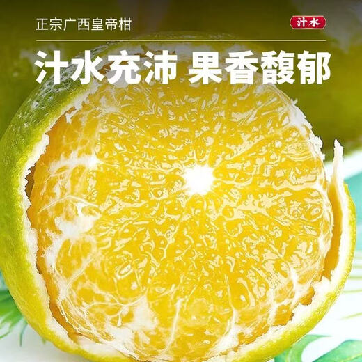 Jingdida Guangxi Emperor Citrus Orange Nettogewicht 4,5 Jin Jin entspricht 0,5 kg Einzelfrucht 60 mm+ Frischfruchtquelle direkt