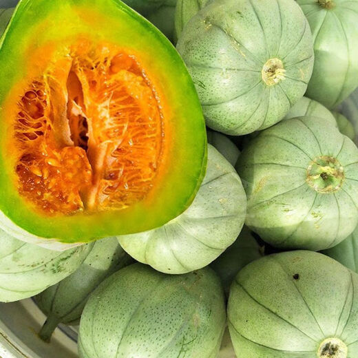 Sesame Honey Crisp Melon Seeds Sweet Toothless Melon Cantaloupe Super Sweet Rock Candy Melon Four Seasons Lazy Indoor Potted Fruit Sesame Honey Melon Seeds 1 pack of about 100 capsules