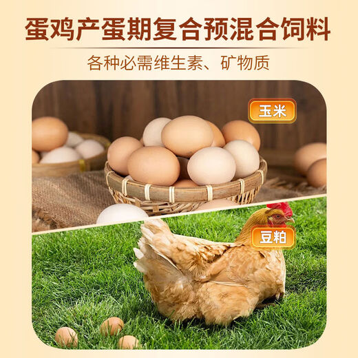 OTHER5 laying hens are equipped with special compound premix calcium hydrogen phosphate methionine egg production grain regular feed during the laying period of 5 laying hens, 1 bag of 25kg during the laying period