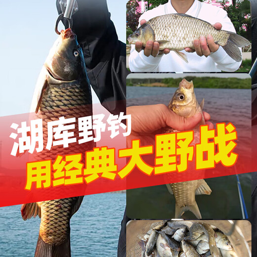 Old Ghost (OLDGHOST) fishing bait classic field battle crucian carp, carp, grass, bream, lake, river, pond, wild fishing bait, bran-flavored basic bait 300g