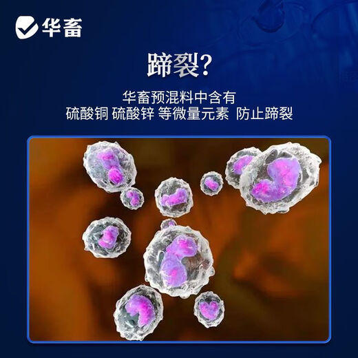 Huazhu 4% beef cattle feed and mutton sheep premix, fattening sheep feed, cattle feed, cattle and sheep feed additives, 4% beef cattle and sheep fattening compound premix feed