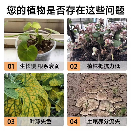 Dr. Xingchen Flower and Grass Compound Fertilizer 11-in-1 Plant Feast Golden Fertilizer Organic Fertilizer for Vegetables, Fruits and Vegetables Universal Full Nutrition Nitrogen, Phosphorus and Potassium Plant Feast Golden Fertilizer 500g*1 bag