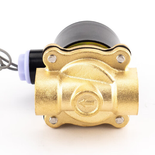 Masifo normally closed pneumatic solenoid valve copper core water valve 2W switch valve air valve 220V (4 minutes) 160-15