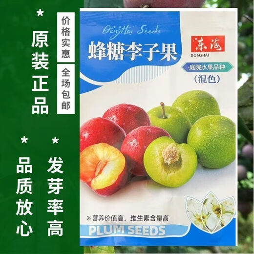 Bee Sugar Plum Fruit Seeds, Cold-resistant New Variety Mixed Color Large Plums Potted Ground Planting in the North and South, Perennial Bee Sugar Plum Fruit Seeds, 3 Packs of Approximately 15 Pieces