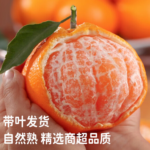 Sichuan Chunjian Rake Mandarin Straight from the Source Fresh Citrus Papa Mandarin Ugly Citrus Fruit for Pregnant Women Golden Diamond Fruit Single Fruit 90mm+ 5Jin Jin is equal to 0.5kg Packing is more cost-effective Net weight 4.5Jin Jin is equal to 0.5kg