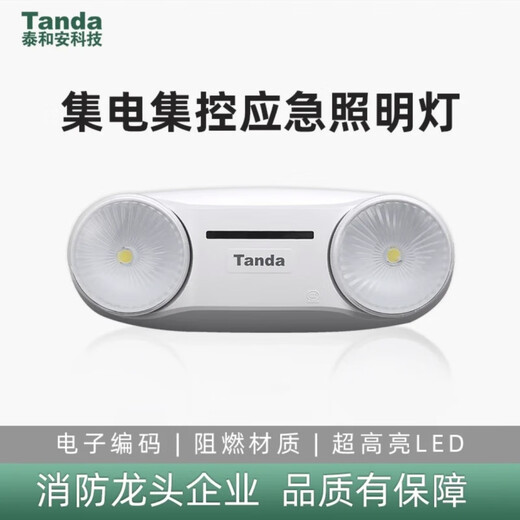 Taihean wall-mounted emergency light 660166026604 intelligent evacuation emergency double-headed light centralized power supply 36V wall-mounted double-headed light (3W)-6602B