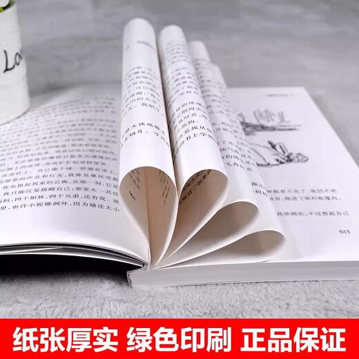 Newbery Gold Medal for Children's Literature, 3 volumes of the Mountain Dwelling Years trilogy, 3 volumes of the Stormy Mountains, Deep Wilderness Survival, fifth grade extracurricular book for primary school students, foreign children's literature, 3 volumes, 3 volumes of the Mountain Dwelling Years series.