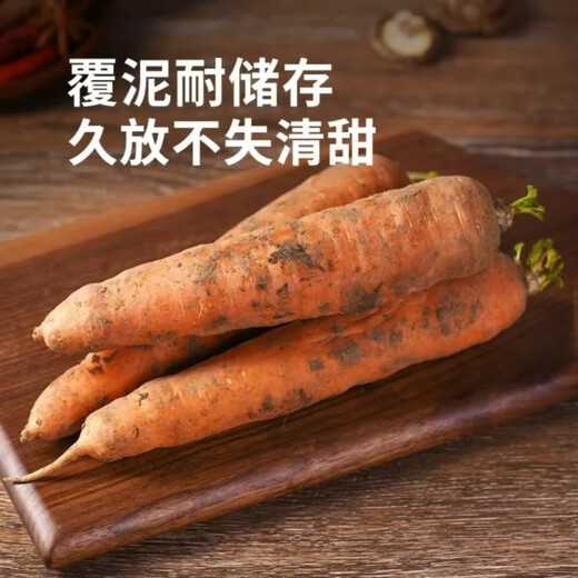 Dongdong Maicai, freshly dug carrots from the origin, high-quality small fruit hot pot ingredients JD.com, Henan fresh carrots 2Jin Jin is equal to 0.5kg, net weight (1.9Jin Jin is equal to 0.5kg)