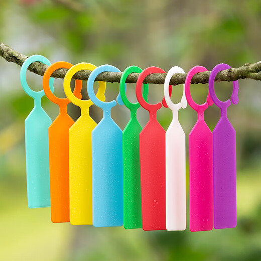 加厚葡萄西瓜授粉记号卡大树植物环扣标签塑料吊牌花卉标记牌 白色100片/包