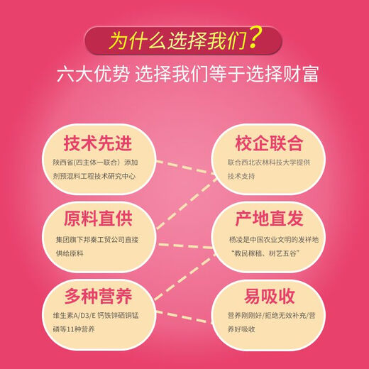 Bibang 5% cattle and sheep premix breeding ewe fattening feed cow compound additive trace elements for breeding sheep 5% cow premix 9265