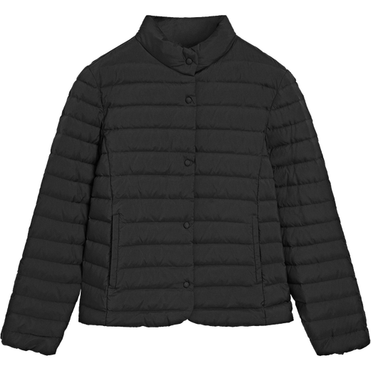 Massimo Dutti Especial Nueva Temporada 2026 Chaqueta de plumón corta con cuello levantado estilo viajero versátil y minimalista para mujer 06761303 Negro M (170/92A)