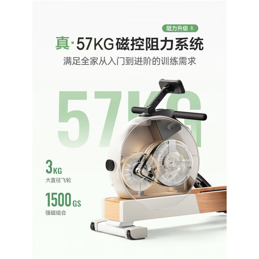 MOKFITNESSMOK (Mok)-K10 magnetic resistance silent rowing machine home smart folding rowing machine fitness equipment K10ES standard version (wasabi green)