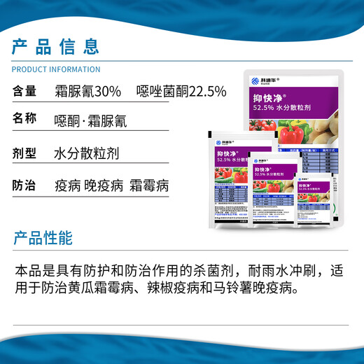 科迪华杜邦 抑快净 噁唑菌酮霜脲氰番茄辣椒黄瓜霜霉晚早疫病农药杀菌剂 9g